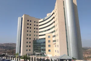 Istishari Arab Hospital image