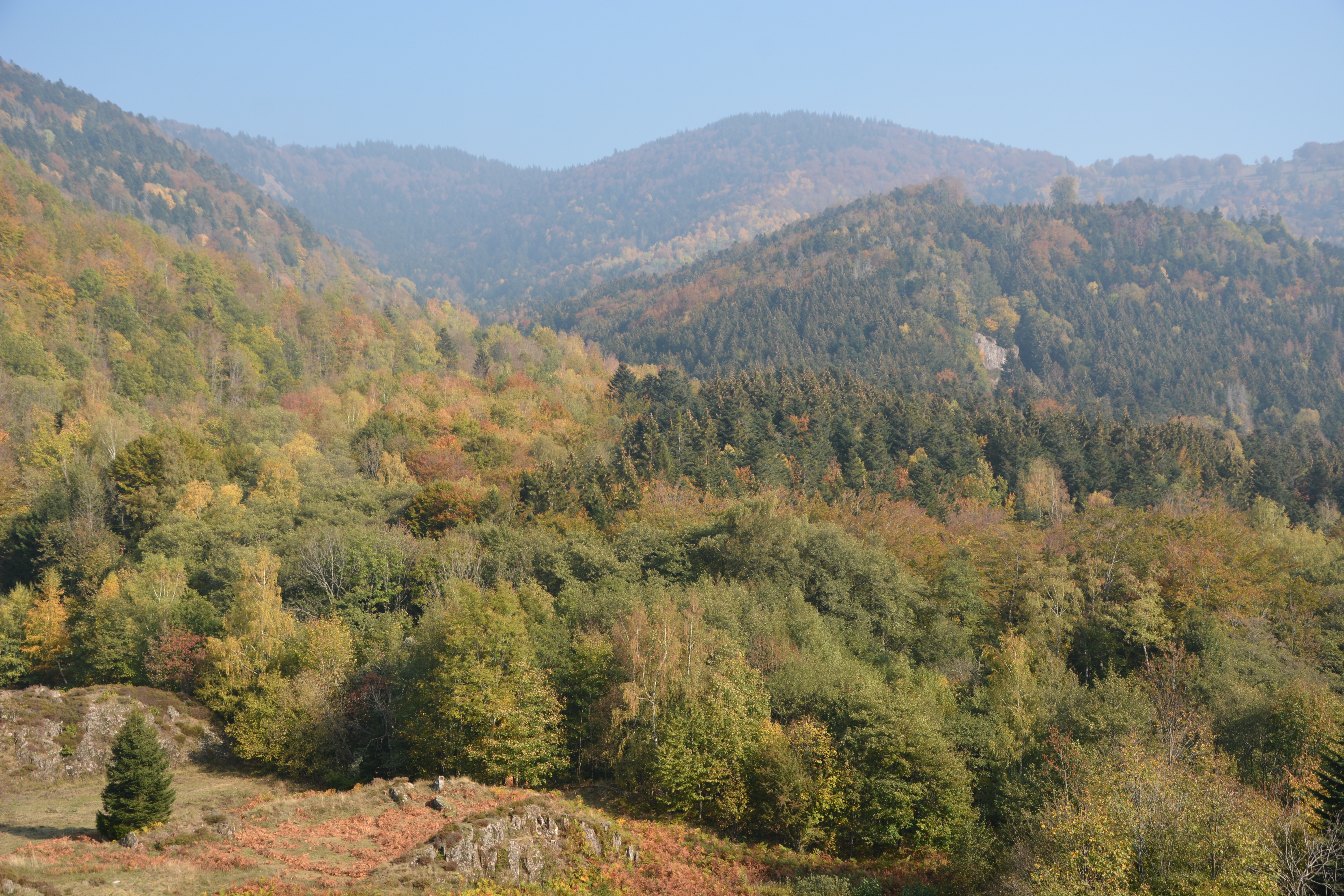 Photo n° 6 de l'avis de Klein.o fait le 26/10/2018 à 07:57