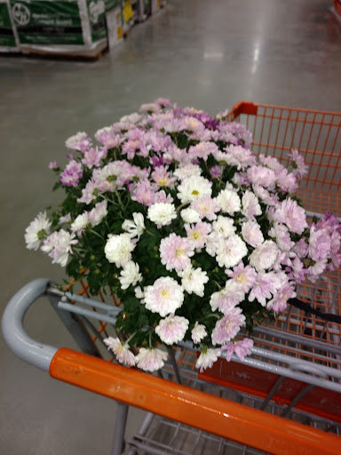 Home Improvement Store «The Home Depot», reviews and photos, 3950 N 144th St, Omaha, NE 68116, USA