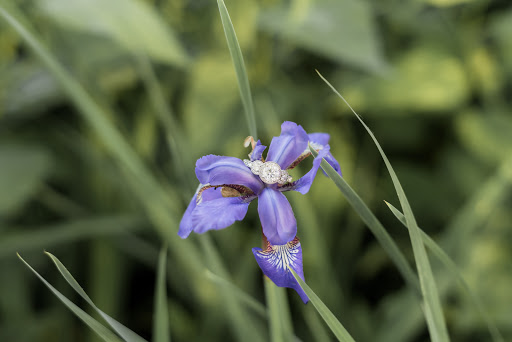 Jeweler «Don Hudepohl Jewelers», reviews and photos, 630 Vine St # 707, Cincinnati, OH 45202, USA