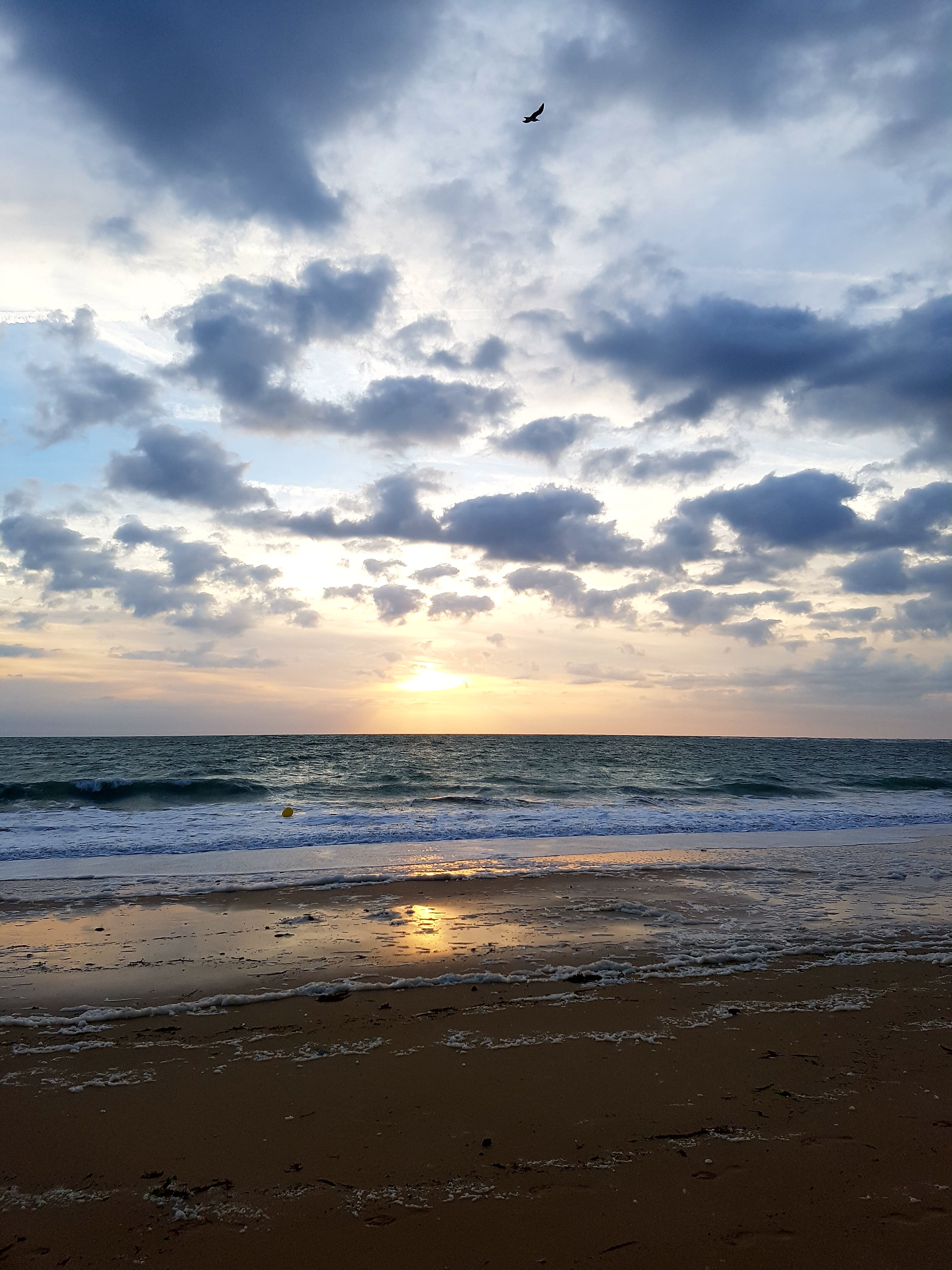 Photo n° 8 de l'avis de Luc.m fait le 22/06/2018 à 14:30