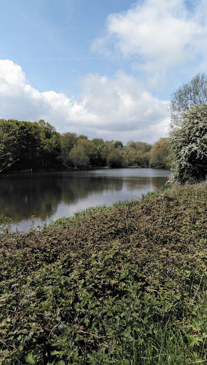 Westwood Country Park