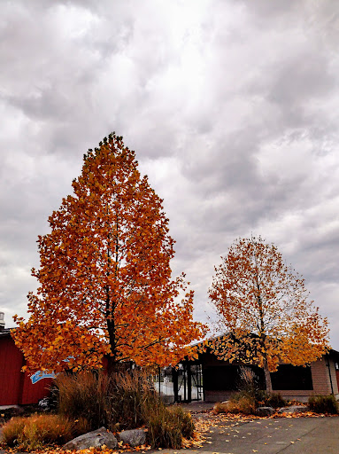 Park «Kandle Park», reviews and photos, 2323 N Shirley St, Tacoma, WA 98407, USA