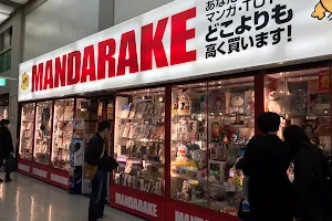 Mandarake Nakanotenkaitoridokoro image