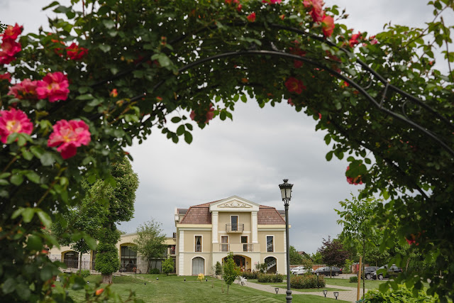 Domeniile Mar'tinutzi