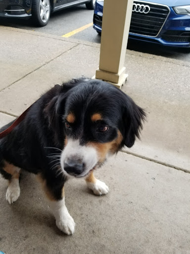 Pet Supply Store «Three Dog Bakery Inc», reviews and photos, 3929 Chenoweth Square, Louisville, KY 40207, USA