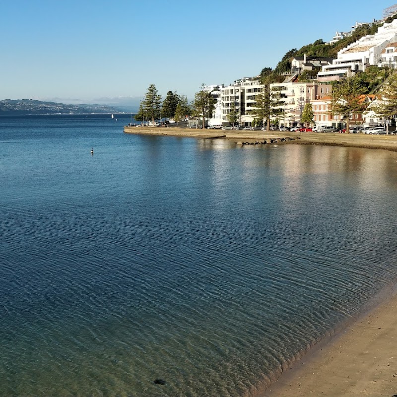 Oriental Bay Lookout