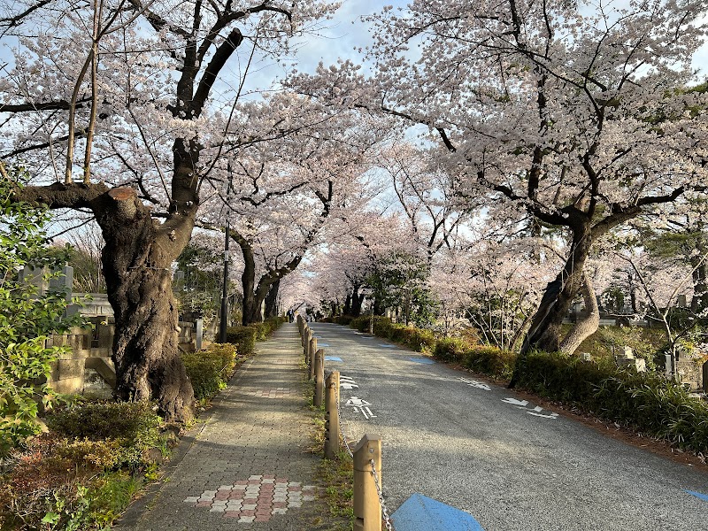 青山霊園