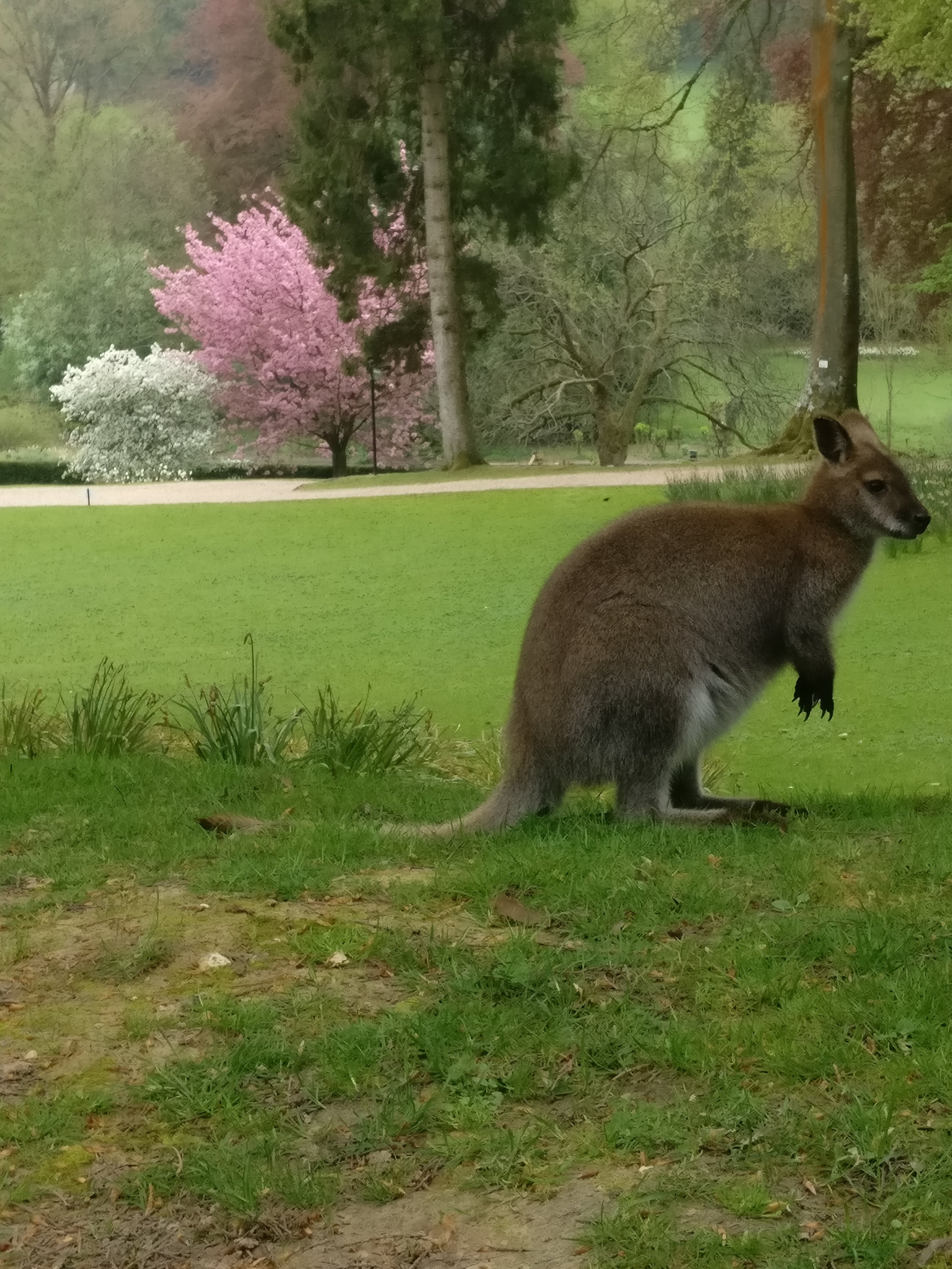 Photo n° 1 de l'avis de Michaël.I fait le 24/04/2018 à 10:11