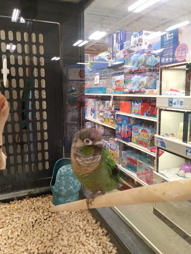 Pet Supply Store «PetSmart», reviews and photos, 300 NJ-18, East Brunswick, NJ 08816, USA