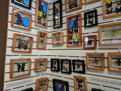 Museum «May Natural History Museum», reviews and photos, 710 Rock Creek Canyon Rd, Colorado Springs, CO 80926, USA