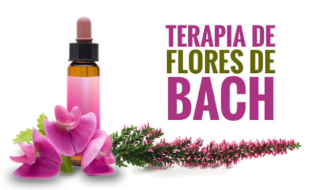 Centro de Terapia Natural Jeh-Rapha. Apiterapia, Flores de Bach y Acupuntura - Floristería