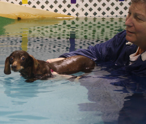 The Dog Dive, 1613 Riverview Dr, Kalamazoo, MI 49004, USA, 