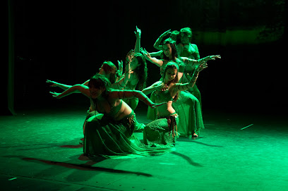 Escuela de danza del vientre Ananda Búcari
