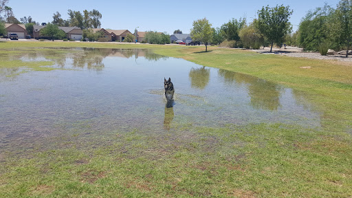 Park «Dust Devil Park», reviews and photos, 10645 W Camelback Rd, Glendale, AZ 85307, USA