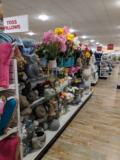 Department Store «HomeGoods», reviews and photos, 17641 Dale Mabry Hwy, Lutz, FL 33548, USA