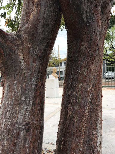 Park «Jose Marti Park», reviews and photos, 351 SW 4th Ave, Miami, FL 33144, USA