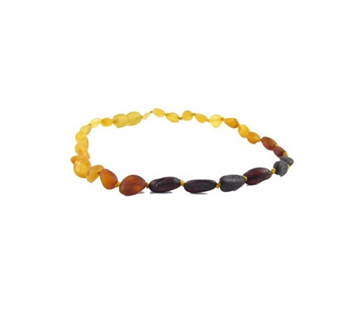 Baby Store «Crunch Natural Parenting», reviews and photos, 1599 Main St, Dunedin, FL 34698, USA