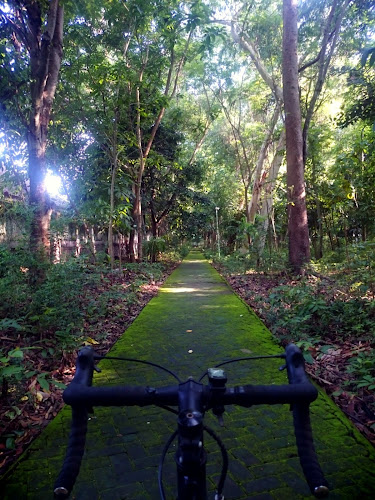 Taman di Kabupaten Lombok Timur: Menikmati Keindahan Alam dan Rekreasi di Banyaknya Tempat