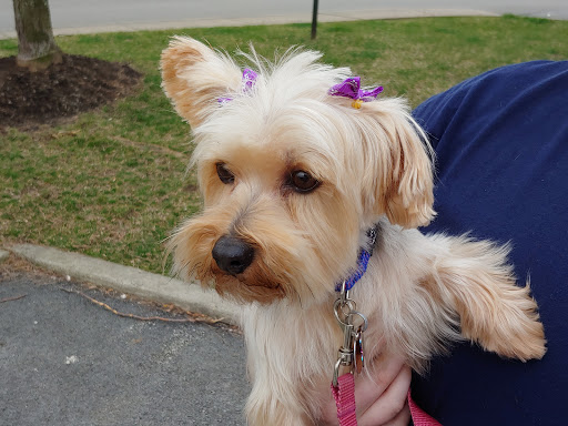 Pet Supply Store «Petco Animal Supplies», reviews and photos, 2723 Stroschein Rd, Monroeville, PA 15146, USA