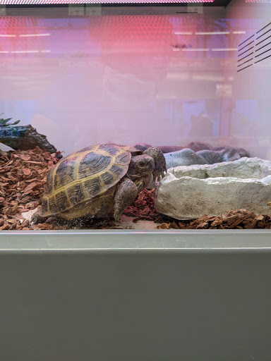 Pet Supply Store «Pet Supplies Plus», reviews and photos, 15880 San Carlos Blvd Ste 190, Fort Myers, FL 33908, USA