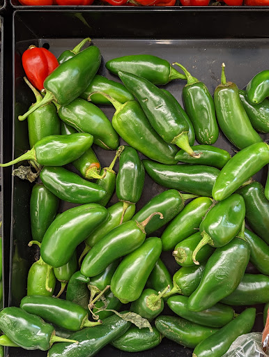 Grocery Store «Food Lion», reviews and photos, 5021 Trotwood Ave Ste 7, Columbia, TN 38401, USA