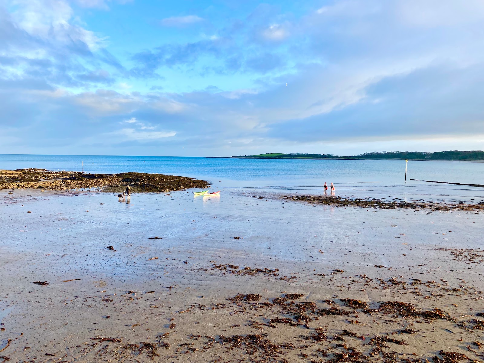 Ballyholme Beach photo #7