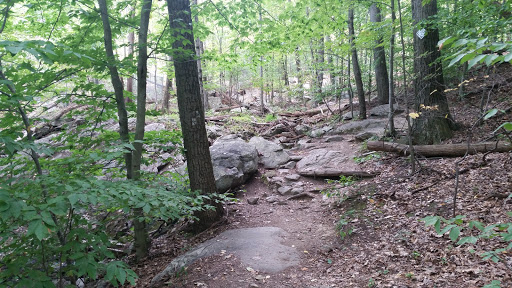 Nature Preserve «The New Weis Center for Education, Arts & Recreation», reviews and photos, 150 Snake Den Rd, Ringwood, NJ 07456, USA