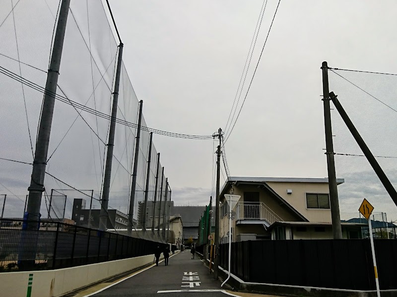 京都軟式野球連盟