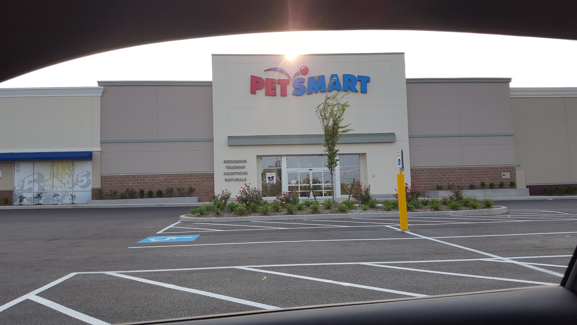 PetSmart