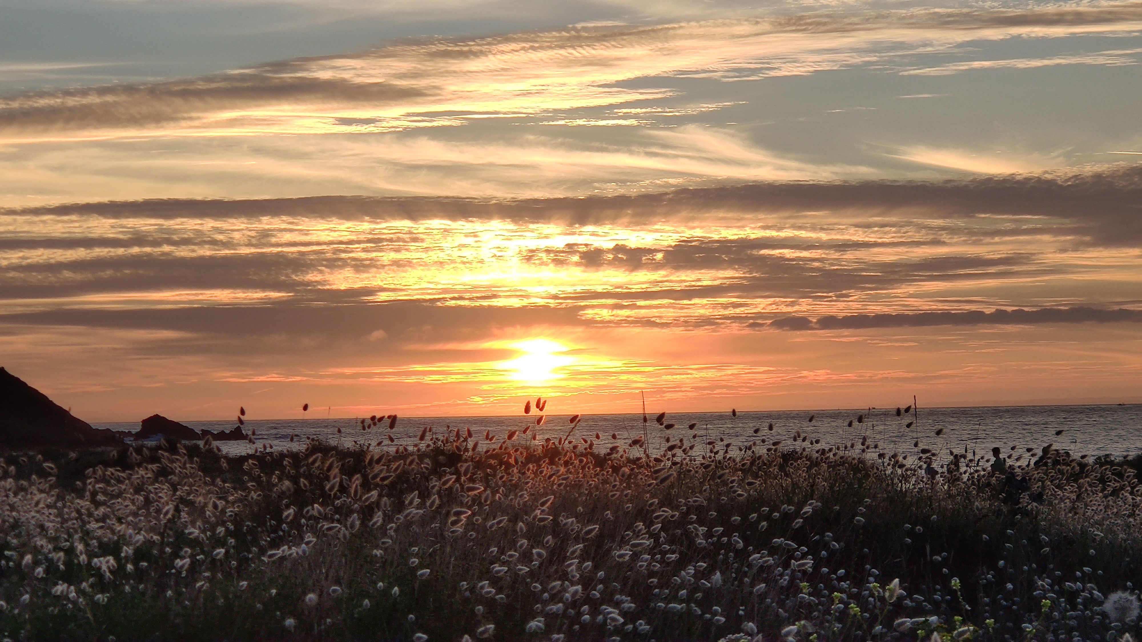Photo n° 1 de l'avis de Yann. fait le 10/07/2020 à 19:26