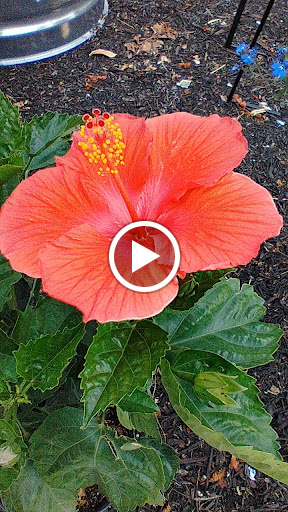 Farm Equipment Supplier «Maury Farmers Co-Op», reviews and photos, 423 Westover Dr, Columbia, TN 38401, USA