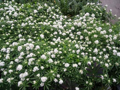 Home Improvement Store «The Home Depot», reviews and photos, 80 Buckland Hills Dr, Manchester, CT 06042, USA