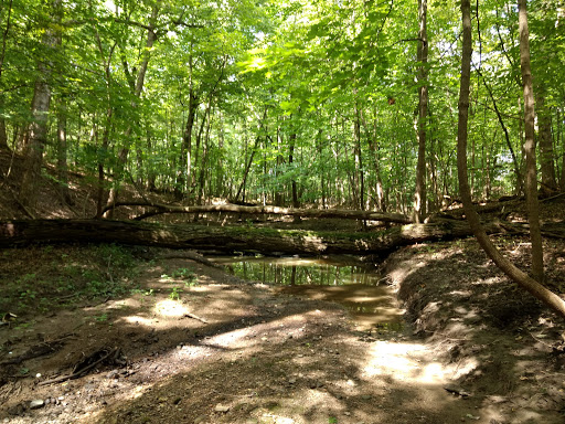 Nature Preserve «Thorn Creek Woods Nature Preserve», reviews and photos, 247 Monee Rd, Park Forest, IL 60466, USA