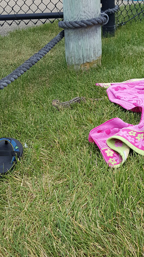 Water Park «Apple Valley Aquatic Center», reviews and photos, 14421 Johnny Cake Ridge Rd, Apple Valley, MN 55124, USA