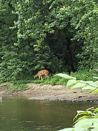 Public Swimming Pool «Water Works Family Aquatic Center», reviews and photos, 2025 Munroe Falls Ave, Cuyahoga Falls, OH 44221, USA