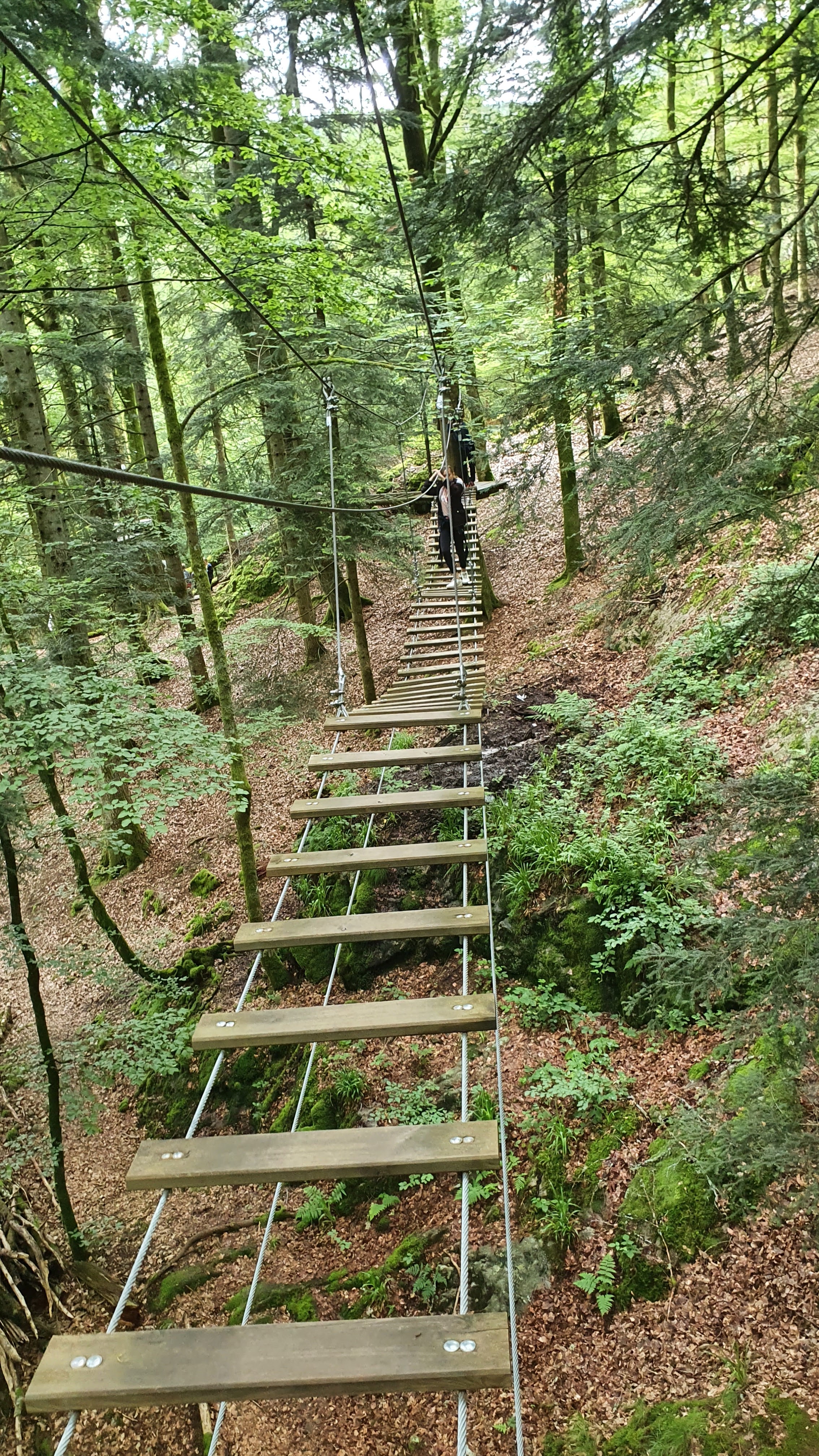 Photo n° 4 de l'avis de Sandrine.r fait le 24/06/2021 à 16:44