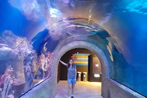 Oceanic Aquarium - Atração Turística em Balneário Camboriú - Aquário em Balneário Camboriú image