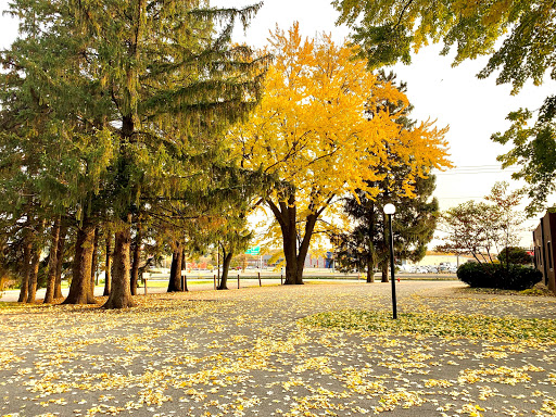 Insurance Agency «Bruce Fujan - State Farm Insurance Agent», reviews and photos