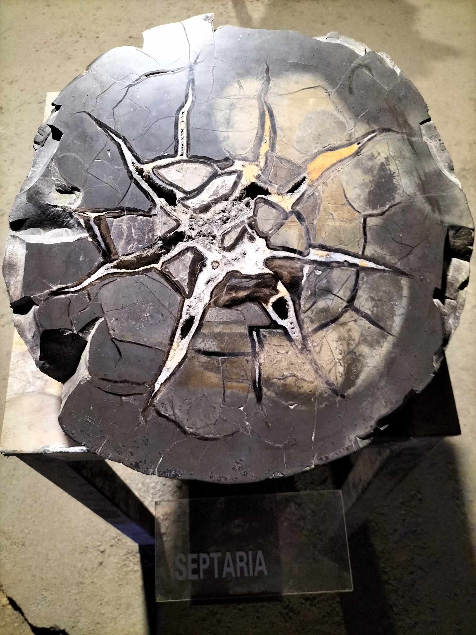 Photo n° 3 de l'avis de Sylvie.e fait le 17/07/2023 à 05:17