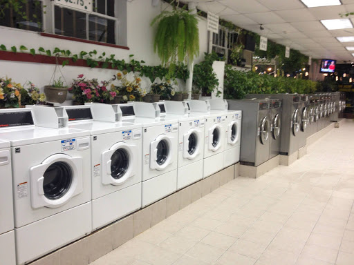 Laundry Service «Y & S Laundromat & Dry Cleaning», reviews and photos, 259 Westport Ave, Norwalk, CT 06851, USA