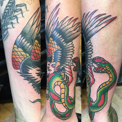 Explore boston terrier tattoo ideas, creative tattoo ideas in Seaford, available at Irish Buddha Tattoo Studio