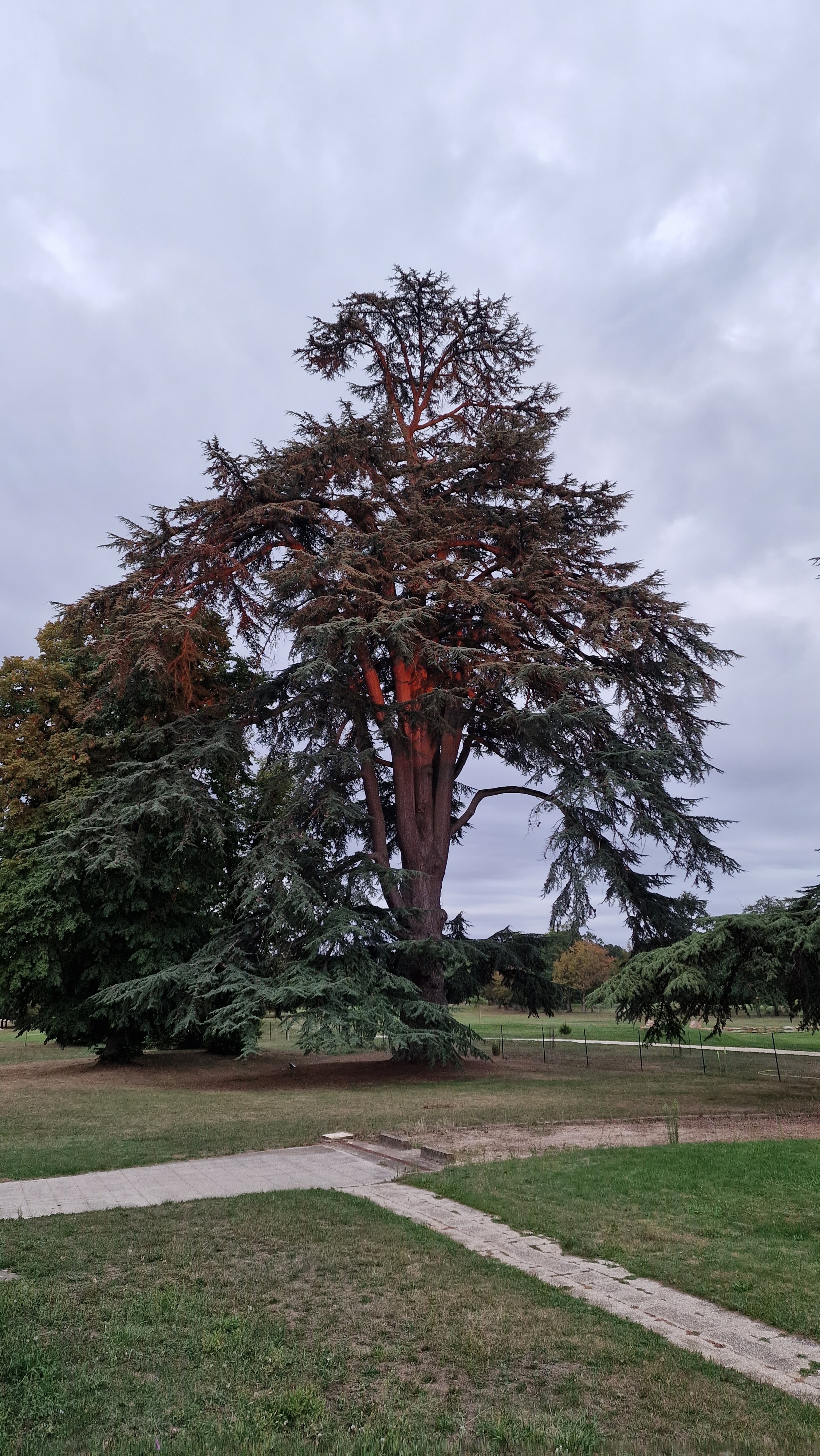 Photo n° 2 de l'avis de Marie-michèle.o fait le 20/08/2023 à 14:07