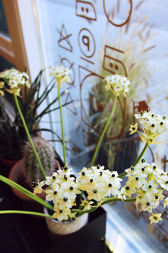 Grydstedgade 6, 9240 Nibe