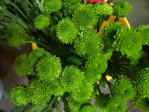 Florist «Treasures Remembered Florist», reviews and photos, 600 W Locust St, Princeton, KY 42445, USA