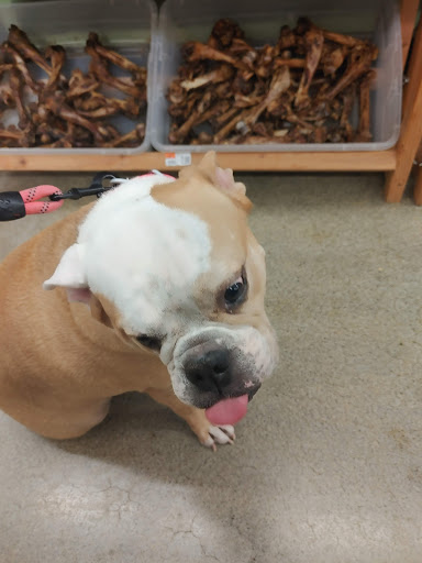 Pet Supply Store «Pet Supplies Plus», reviews and photos, 543 N Foothills Plaza Dr, Maryville, TN 37801, USA