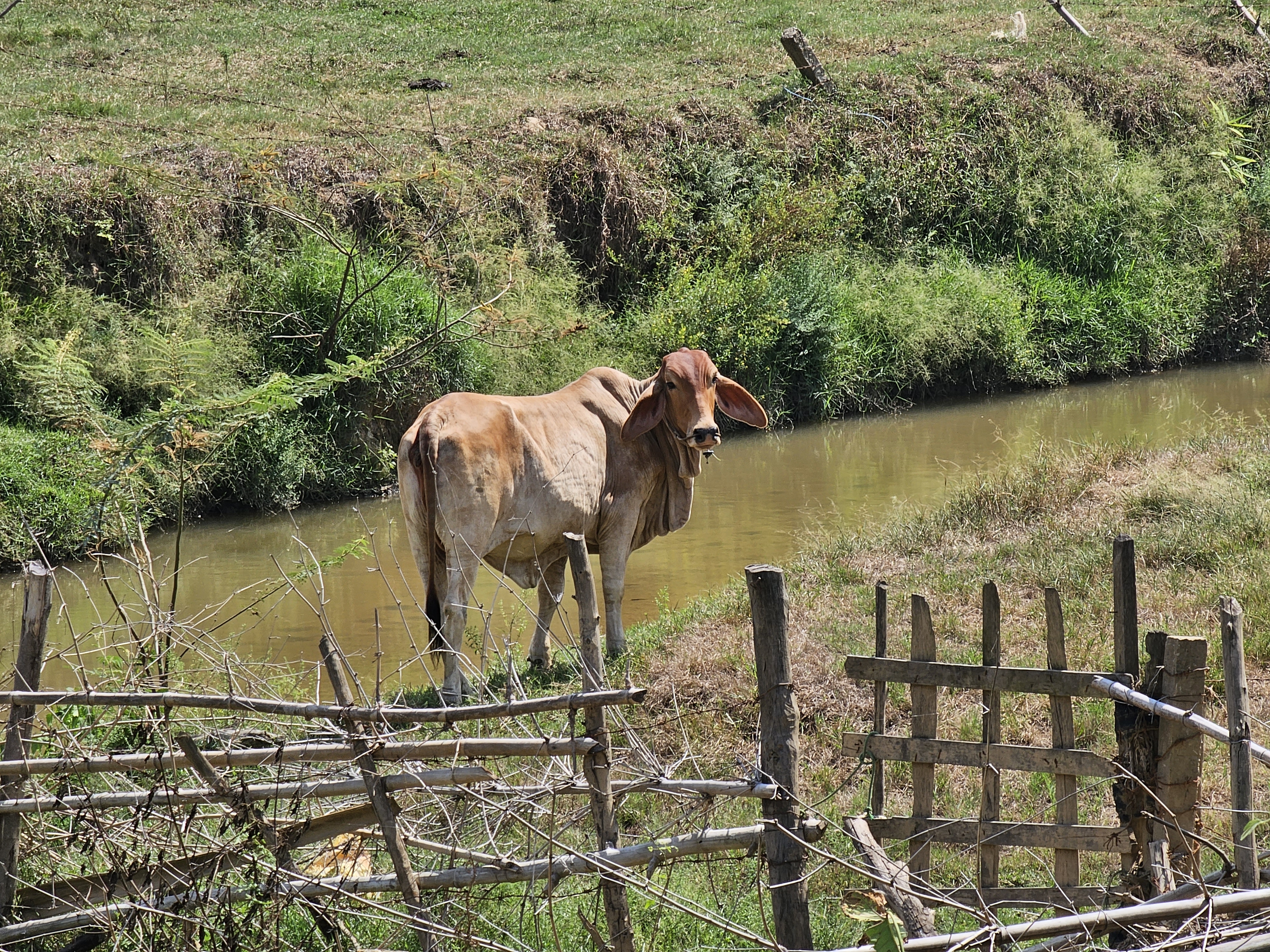 Photo n° 29 de l'avis de Liliane.a fait le 16/10/2023 à 13:08