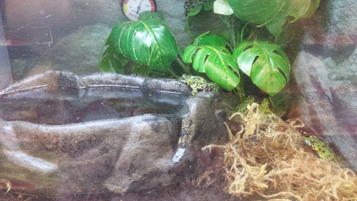 Pet Supply Store «Petco Animal Supplies», reviews and photos, 975 NW Gilman Blvd E, Issaquah, WA 98027, USA