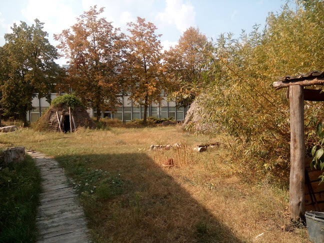 Uniwersytet Mikołaja Kopernika. Wydział Nauk Historycznych. Instytut Archeologii