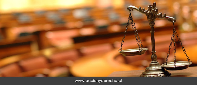 Acción y Derecho, Estudio Jurídico